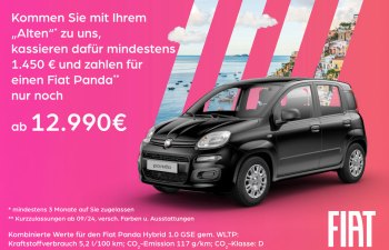0103-25-WEI_social_media_Posts_Fiat_Wechselwochen_Panda_weiss