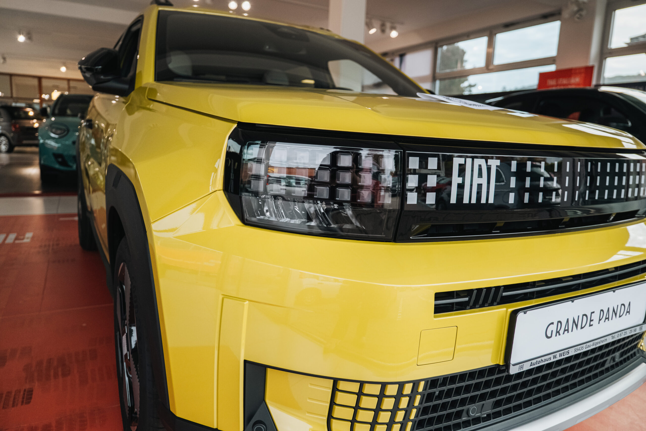 Ein gelber Fiat Grande Panda steht im Ausstellungsraum des Autohauses Weis.