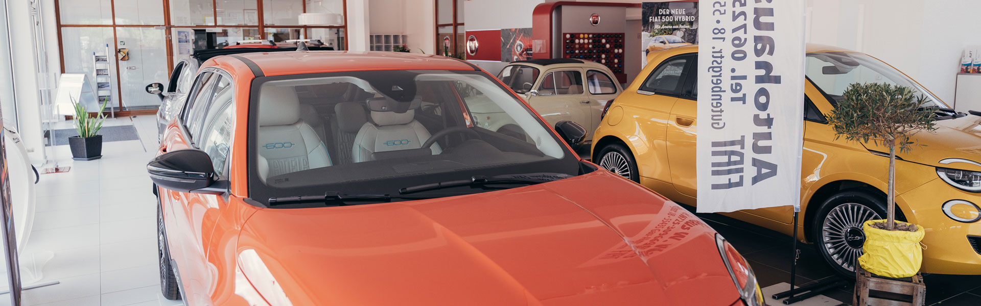 Mehrere Fahrzeuge stehen im Ausstellungsraum des Autohauses Weis